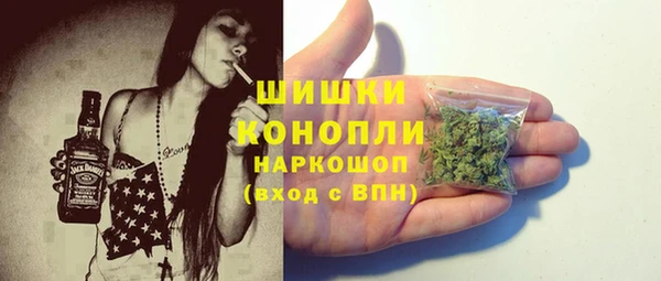 индика Нягань