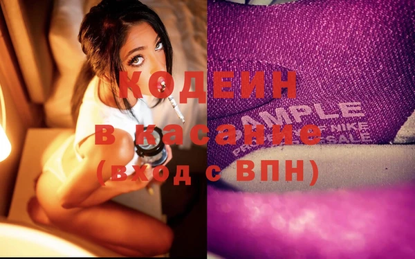 индика Нягань