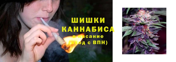 тгк Осинники