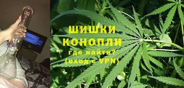 шишки Нязепетровск