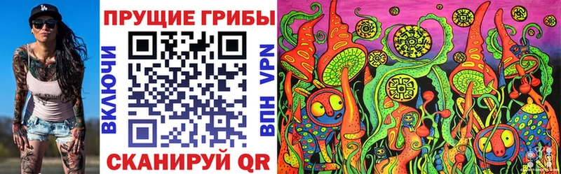 KRAKEN ССЫЛКА  Ростов  Псилоцибиновые грибы ЛСД 